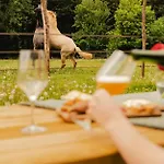 Lodge Puits Carre - Parcel Tiny House - Tiny House Pres Des Chevaux Dans Le Perche Mae-8941