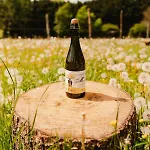 Lodge Puits Carre - Parcel Tiny House - Tiny House Pres Des Chevaux Dans Le Perche Mae-8941