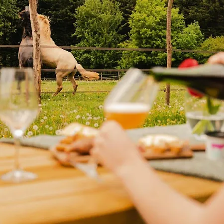 Puits Carre - Parcel Tiny House - Tiny House Pres Des Chevaux Dans Le Perche Mae-8941