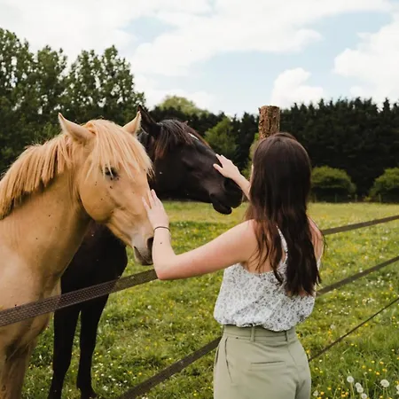 Puits Carre - Parcel Tiny House - Tiny House Pres Des Chevaux Dans Le Perche Mae-8941 Lodge Dame-Marie (Orne)