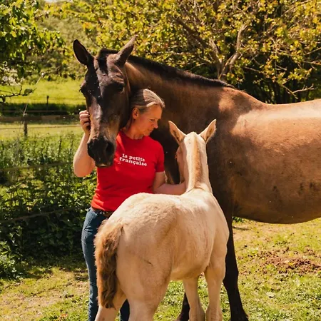 Puits Carre - Parcel Tiny House - Tiny House Pres Des Chevaux Dans Le Perche Mae-8941 Lodge