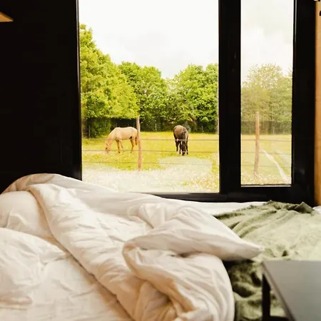 Puits Carre - Parcel Tiny House - Tiny House Pres Des Chevaux Dans Le Perche Mae-8941 롯지 Dame-Marie (Orne)