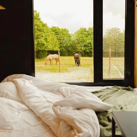 Puits Carre - Parcel Tiny House - Tiny House Pres Des Chevaux Dans Le Perche Mae-8941 Lodge Dame-Marie (Orne)